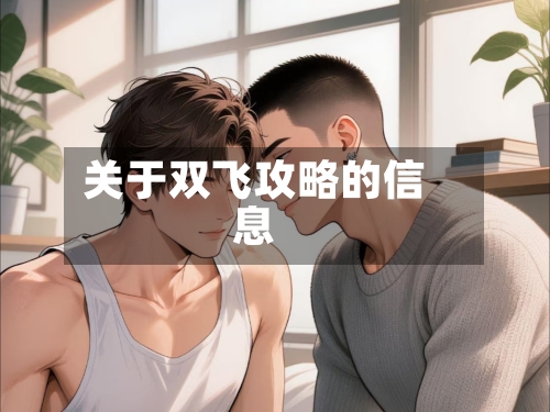关于双飞攻略的信息
