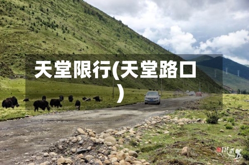 天堂限行(天堂路口)