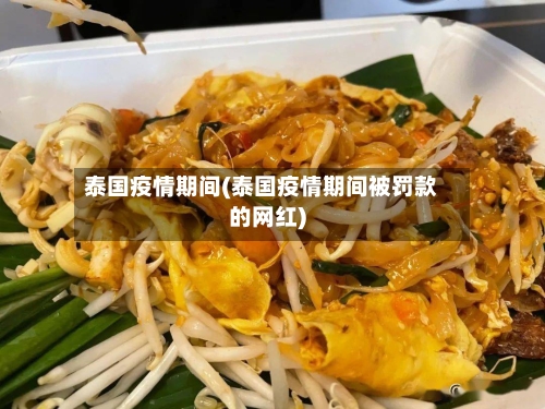 泰国疫情期间(泰国疫情期间被罚款的网红)-第2张图片