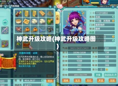 神武升级攻略(神武升级攻略图)