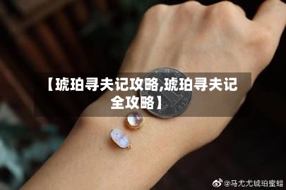 【琥珀寻夫记攻略,琥珀寻夫记全攻略】-第2张图片