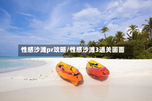 性感沙滩pr攻略/性感沙滩3通关画面
