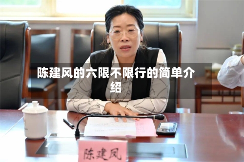 陈建风的六限不限行的简单介绍-第3张图片