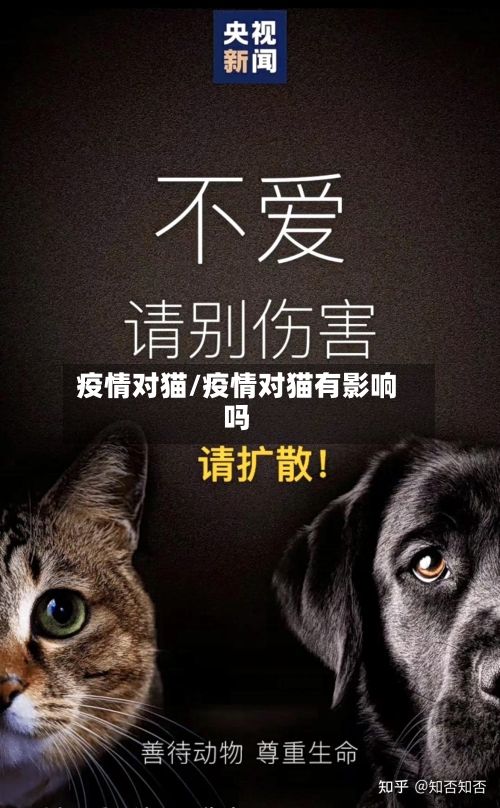 疫情对猫/疫情对猫有影响吗-第2张图片