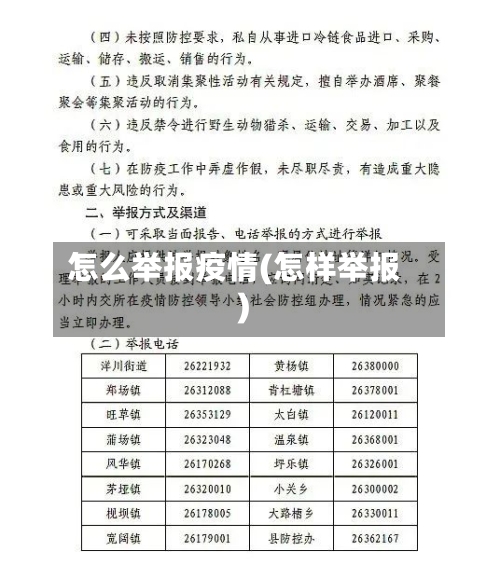 怎么举报疫情(怎样举报)-第2张图片