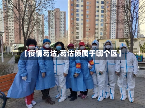 【疫情葛沽,葛沽镇属于哪个区】