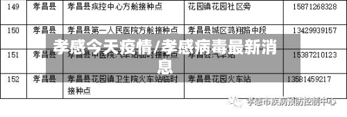 孝感今天疫情/孝感病毒最新消息