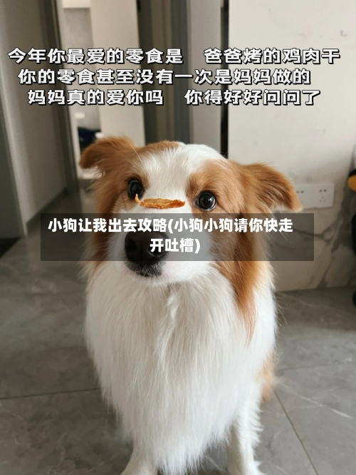 小狗让我出去攻略(小狗小狗请你快走开吐槽)