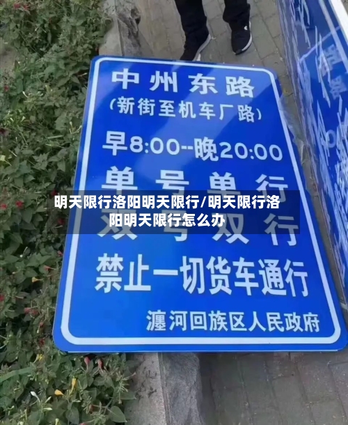 明天限行洛阳明天限行/明天限行洛阳明天限行怎么办-第2张图片
