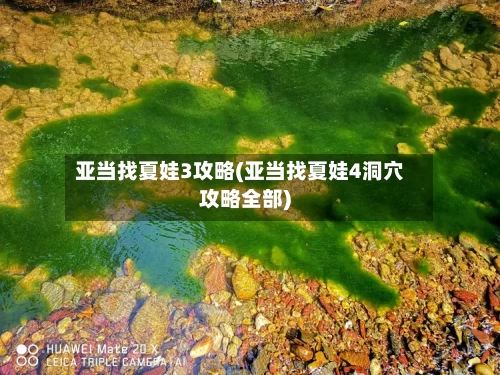 亚当找夏娃3攻略(亚当找夏娃4洞穴攻略全部)